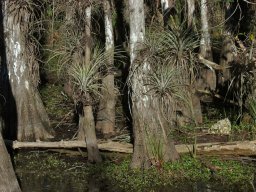 Florida_2007-2008-017